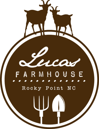 Lucas Farmhouse - Rocky Point, NC
